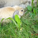 ���� ������, �������, 42 ���� - ��������� 9 ������� 2012 � ������ �������