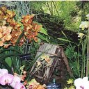 ���� ����. ��������� �� ��!, ������, 72 ���� - ��������� 13 ������ 2011 � ������ ��������