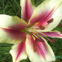 ���� ���, ������, 57 ��� - ��������� 11 ���� 2010