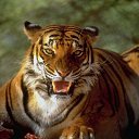 ���� ����, ����� - ��������� 5 ������� 2012