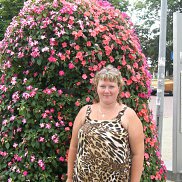 , 44 , 