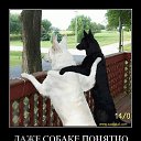 ���� �����, ���������, 51 ��� - ��������� 6 ������� 2012 � ������ ���� ����������