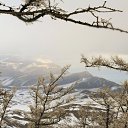 ���� ������, �������, 55 ��� - ��������� 25 ������ 2011 � ������ �������-�������. 2011�