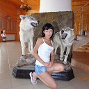 ���� �����, ���������, 43 ���� - ��������� 15 ���� 2013 � ������ ���� ����������