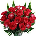  , , 45  -  14  2010   ?!