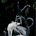 ���� Jeon Davon, ������ - ��������� 30 ��� 2012 � ������ �����������