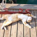   ( -        ,  -  27  2010      