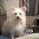 ���� Aleksandra, ����������� - ��������� 30 ��� 2011