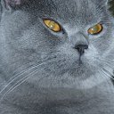 ���� � ��������� ��� ��������, ����, 46 ��� - ��������� 15 ������� 2012 � ������ �������