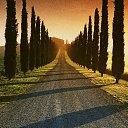 ���� ���������, ������ �������� - ��������� 28 ���� 2013 � ������ ������ ��������