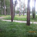 ���� ������, ������, 52 ���� - ��������� 6 ���� 2012 � ������ ����� 2012�