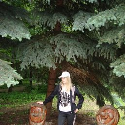 ����, 38 ���, ���������