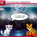  ,  -  29  2010   PetLove