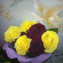 ���� ����@, ��������� - ��������� 10 ������ 2012 � ������ �������