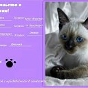 ������������� � �������� �������� �� ������� ������ ���������� (�� ��� � ���)�