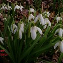 ���� Yiwangna***, ������ - ��������� 22 ��� 2012 � ������ ���������� ����� �������...�