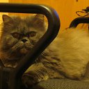 ���� ����, ������, 33 ���� - ��������� 15 ������ 2012 � ������ ���� ������� ������ =)�