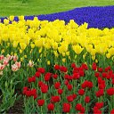 ���� ����� - ���������� ��������!!!, �����������, 56 ��� - ��������� 21 ������ 2010 � ������ ��������ۻ