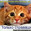  , , 50  -  28  2011   ))))))
