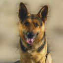 ���� ������, ������, 47 ��� - ��������� 8 ������� 2012 � ������ �������