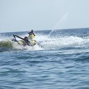 ���� ������, �����������, 47 ��� - ��������� 5 ������ 2013 � ������ ���� ����������