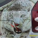 ���� ��������� �������, ������, 58 ��� - ��������� 14 ������ 2012 � ������ ���� ����������