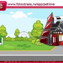 ���� �����, ������ ��������, 28 ��� - ��������� 28 ������ 2010 � ������ �PetLove�