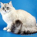 ���� �������, ������ - ��������� 23 ������� 2012 � ������ ���� ����������