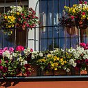 ���� �������, ������, 67 ��� - ��������� 9 ���� 2013 � ������ ���� ����������