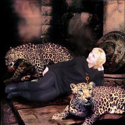 ��������, ������, 53 ����