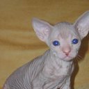 ������� ����, ��� ����� � ���� ����������!!! ������ ����������� � ����� ��� ���� ����� ��..., �� ���� ������ �...� ��������. �� ������� ������� �������� �� ����..�