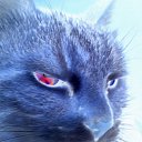 ���� ������, ���������, 41 ��� - ��������� 31 ������� 2011