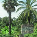 ���� �������, ������, 59 ��� - ��������� 24 ���� 2011 � ������ ������ 2011�