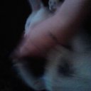 ���� ���4o���(�4-jb)������� �� �����, �����������, 28 ��� - ��������� 5 ������� 2011 � ������ ������....� ��� �� ���