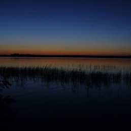 ���� �����, ������, 61 ��� - ��������� 28 ������� 2010