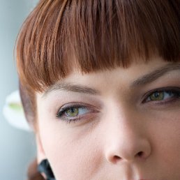 ���� ������, �����, 41 ��� - ��������� 16 ���� 2010