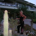 ���� ���������, ����� - ��������� 7 ���� 2013 � ������ ���� ����������