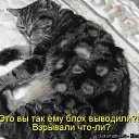 ���� ��������, �������� - ��������� 11 ����� 2012 � ������ �������� ��������