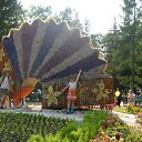 ���� ��������, ����, 72 ���� - ��������� 2 ������� 2010 � ������ ����� ������ ����� 2010 � �����-2010�
