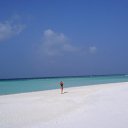 ���� ������ ������, ������ - ��������� 5 ������� 2011 � ������ ���� ����������