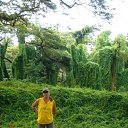 ���� �����, ���������, 57 ��� - ��������� 8 ���� 2010 � ������ ���� ����������