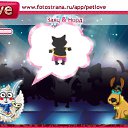 ���� ����, ������, 47 ��� - ��������� 25 ��� 2011 � ������ �PetLove�