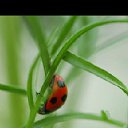 ���� �����, ������, 51 ��� - ��������� 28 ������� 2012 � ������ ���������� ������