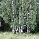 ���� �����, �������, 59 ��� - ��������� 9 ���� 2013 � ������ ���� ����������