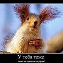 ���� �����, ������ - ��������� 28 ����� 2013 � ������ �������!!!!!!!!!!�