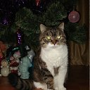 ���� ������, ������������ - ��������� 13 ������� 2011 � ������ ���� ����������