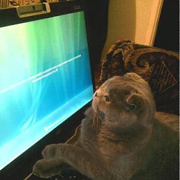 ���� ���� 666(super Star), �����, 50 ��� - ��������� 6 ������ 2011