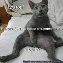 ���� ���� ���������, ������, 39 ��� - ��������� 10 ������ 2013