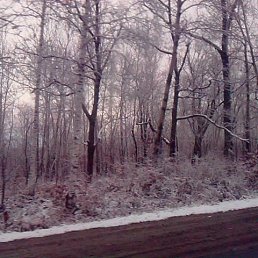 ���� �����, ���������, 26 ��� - ��������� 10 ��� 2013