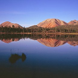 ���� ������ �������, �����������, 52 ���� - ��������� 27 ��� 2012